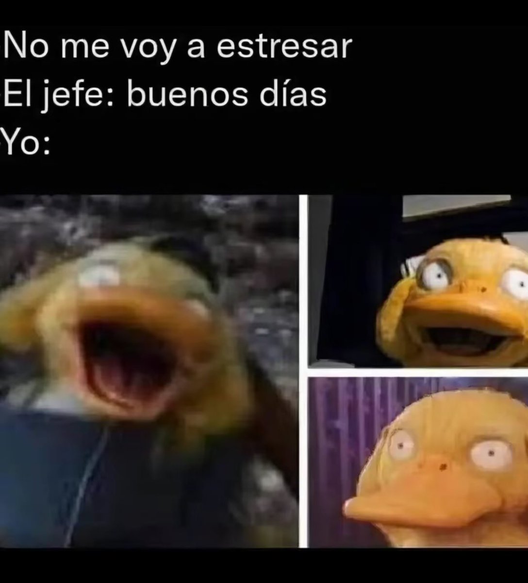 Andrés ™ tweet media
