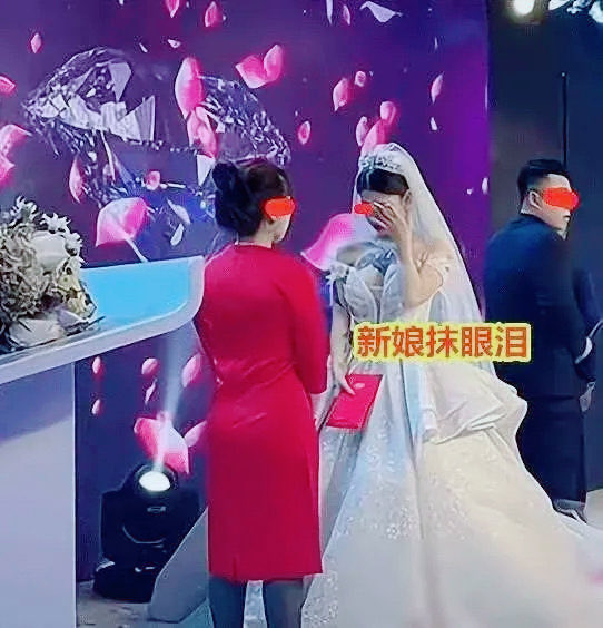 杨小夕 tweet media