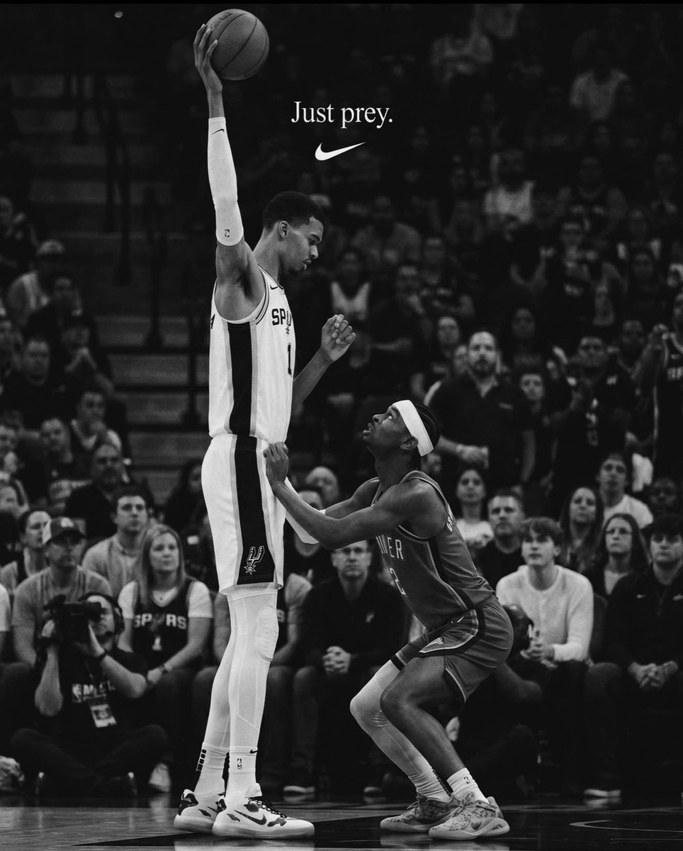 SpursRΞPORTΞR tweet media