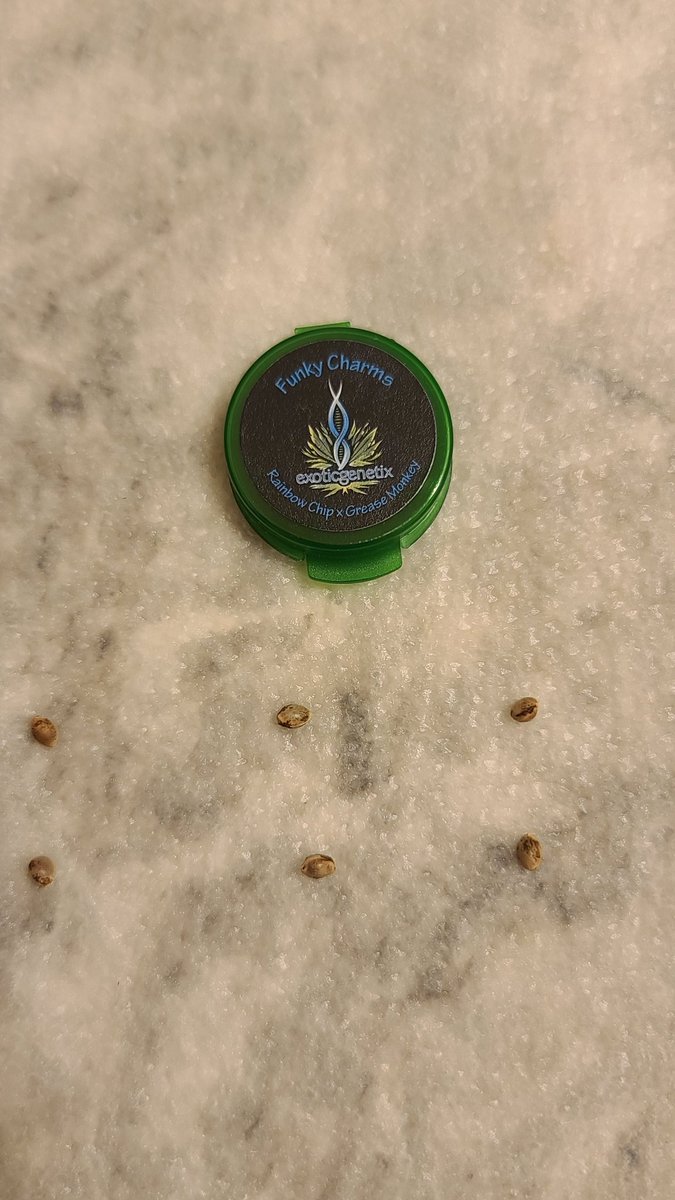 DownHomeDank's tweet photo. Cracked open the fridge stash. Let's see what we can find. https://t.co/8Jsos2gzFs