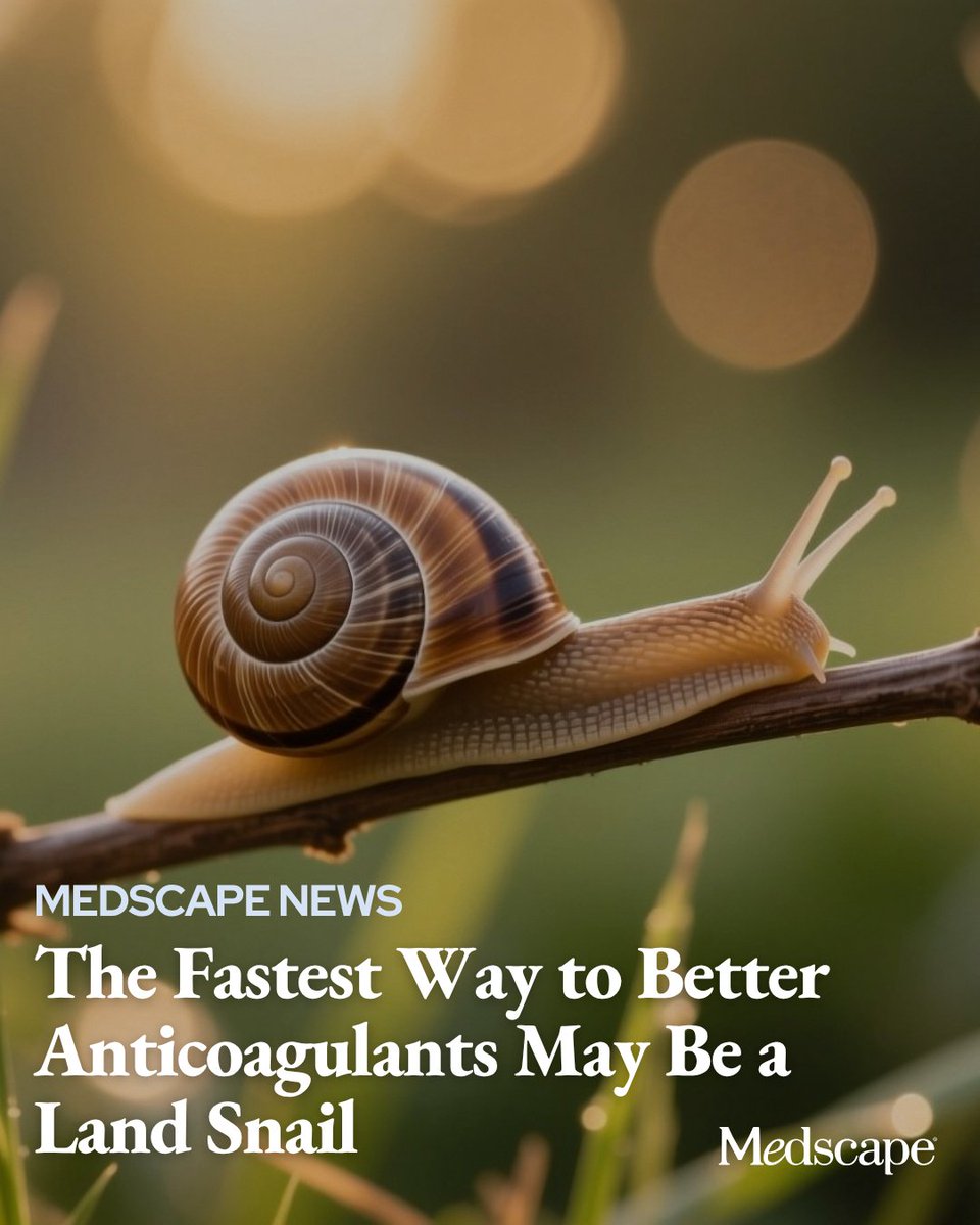 Medscape's tweet photo. The fastest way to a new anticoagulation therapy that prevents blood clots without prolonging bleeding or healing time may be a land snail.
A recent preclinical study in ACS Central Science investigating bioactive molecules derived from the land snail Camaena cicatricosa identified a compound that significantly reduced clot formation without prolonging bleeding time and wound healing in rodent models, directly challenging the assumption that effective anticoagulant therapy must inherently disrupt physiologic repair processes. More on the study: https://t.co/euH8h4ABp9