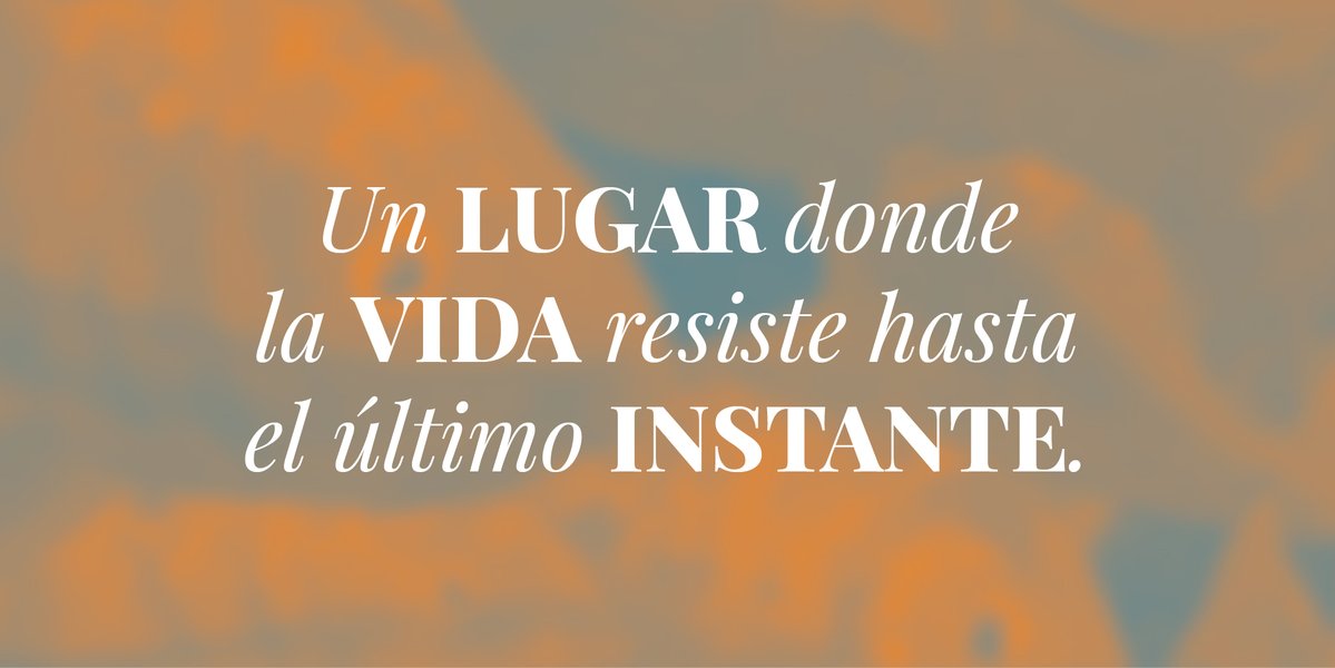 Penguin Libros México tweet media