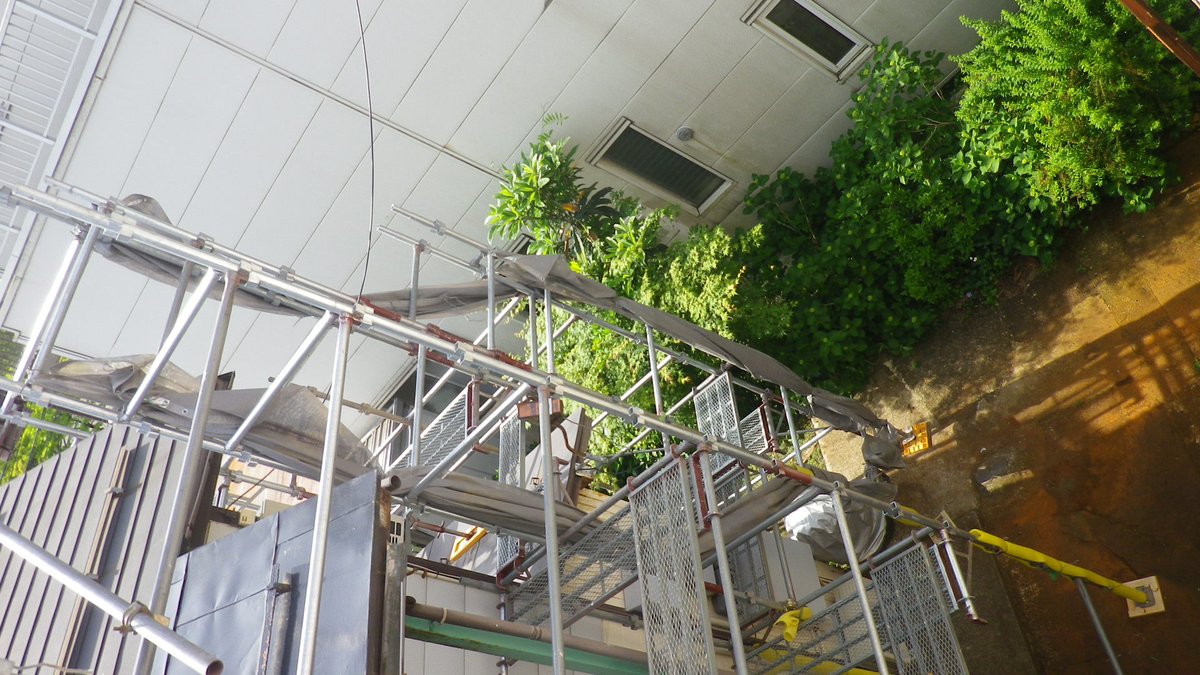 oi21com's tweet photo. #長岡市の空模様
学校町1:26日(火)。パソコン講座2回目です。お隣のアパートの雨樋修理が始まり立派な足場が設置された。 https://t.co/1iM5eMJCy9 の長岡の時間予報は6時から 曇り/曇り/晴れ/曇り/曇り/曇り/曇り 予想気温17から29℃。写真は07:55東側窓の外。 https://t.co/lN88KejKWx