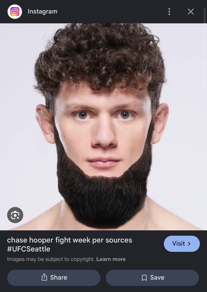 Walnut tweet media