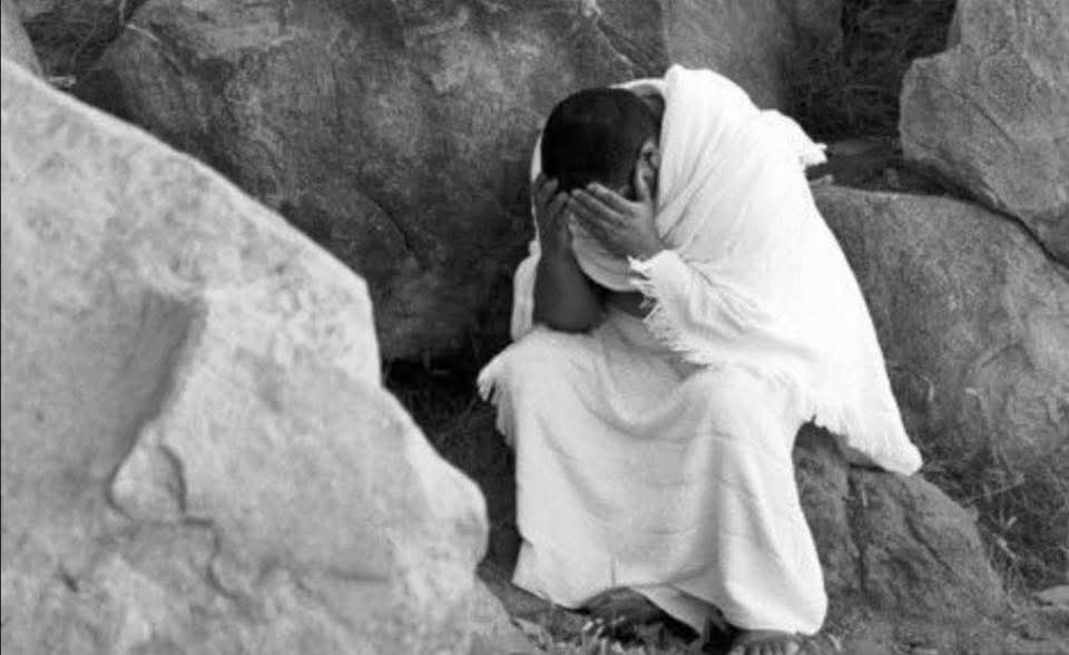 زيَنْب الَزُهيري 🕊️ tweet media