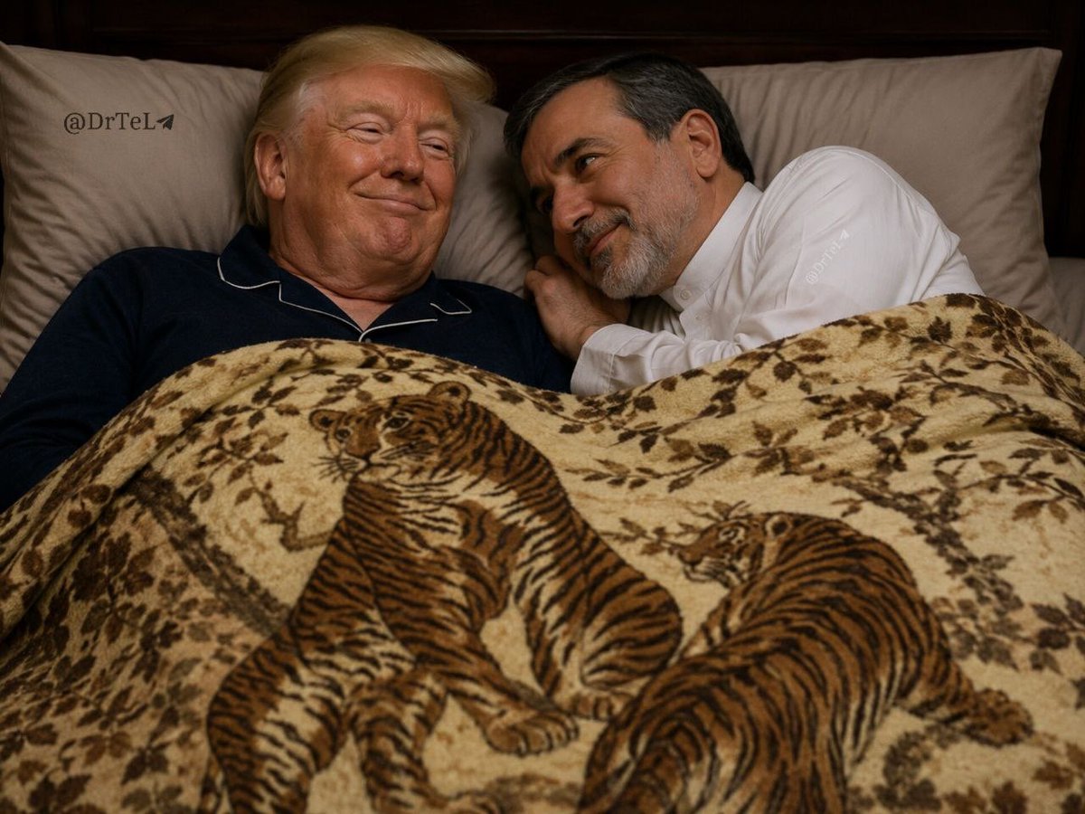 Alinix82's tweet photo. @araghchi دووونالد راستشو بگو ، از تَه دل که نقضش نکردی؟😂 https://t.co/dyTxvhPgDB