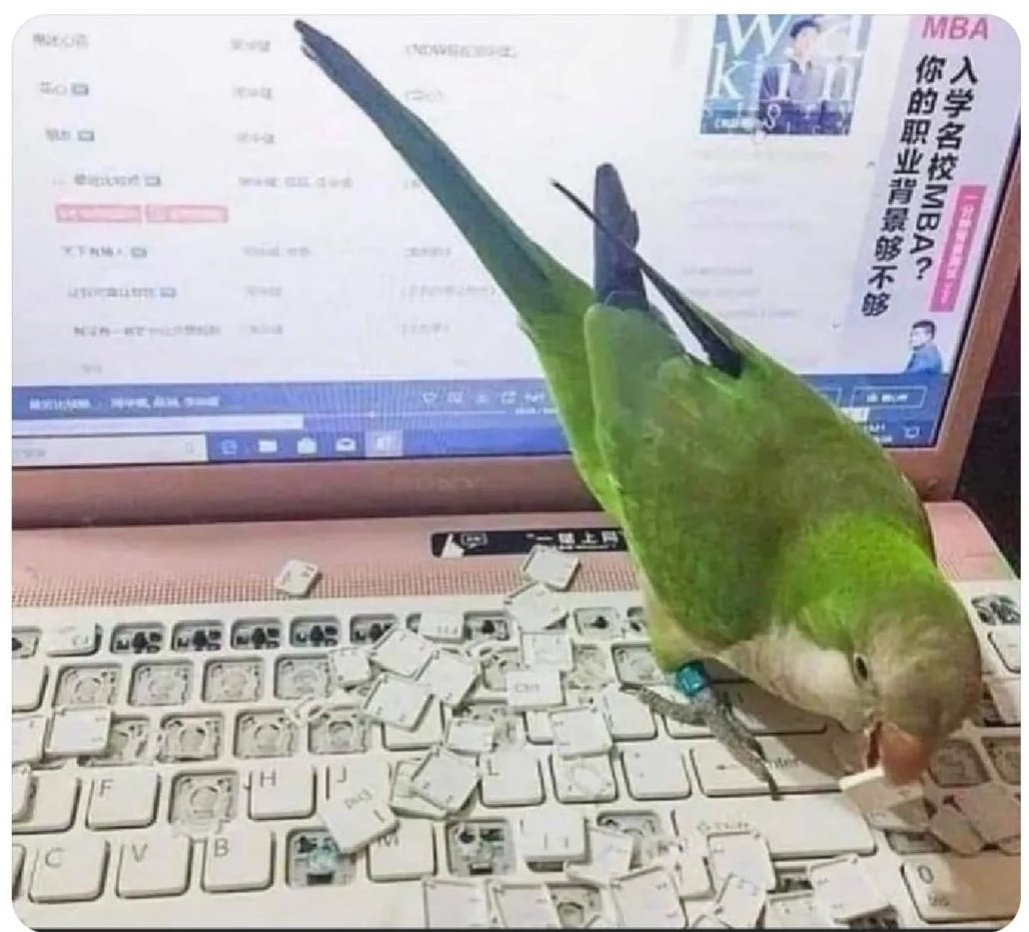 El CondeNado tweet media
