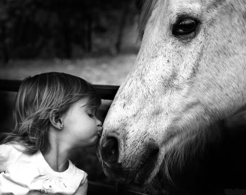 nmwj_nicolas's tweet photo. « Telle est la vie des hommes. Quelques joies, très vite effacées par d’inoubliables chagrins. Il n’est pas nécessaire d’en parler aux enfants ».
⚘️🌺

Marcel Pagnol https://t.co/kP3bn53Nqh