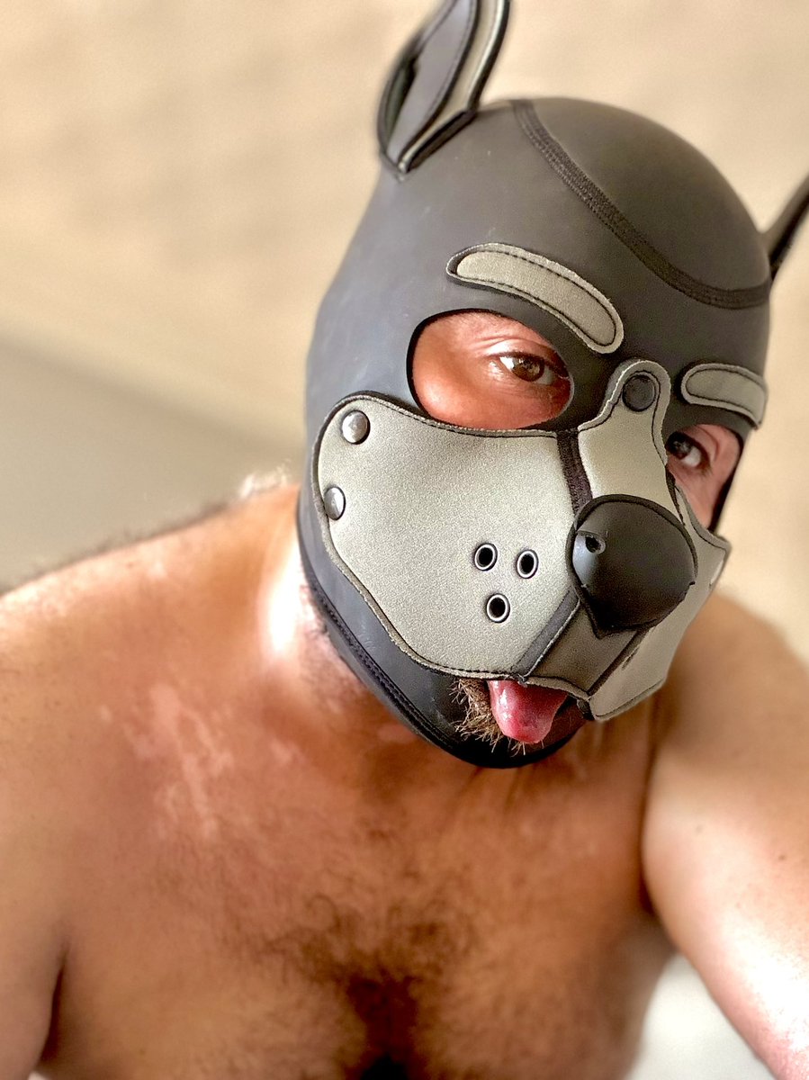 Hugsypup's tweet photo. Pup is warm tonight https://t.co/7uEh5IsUO4