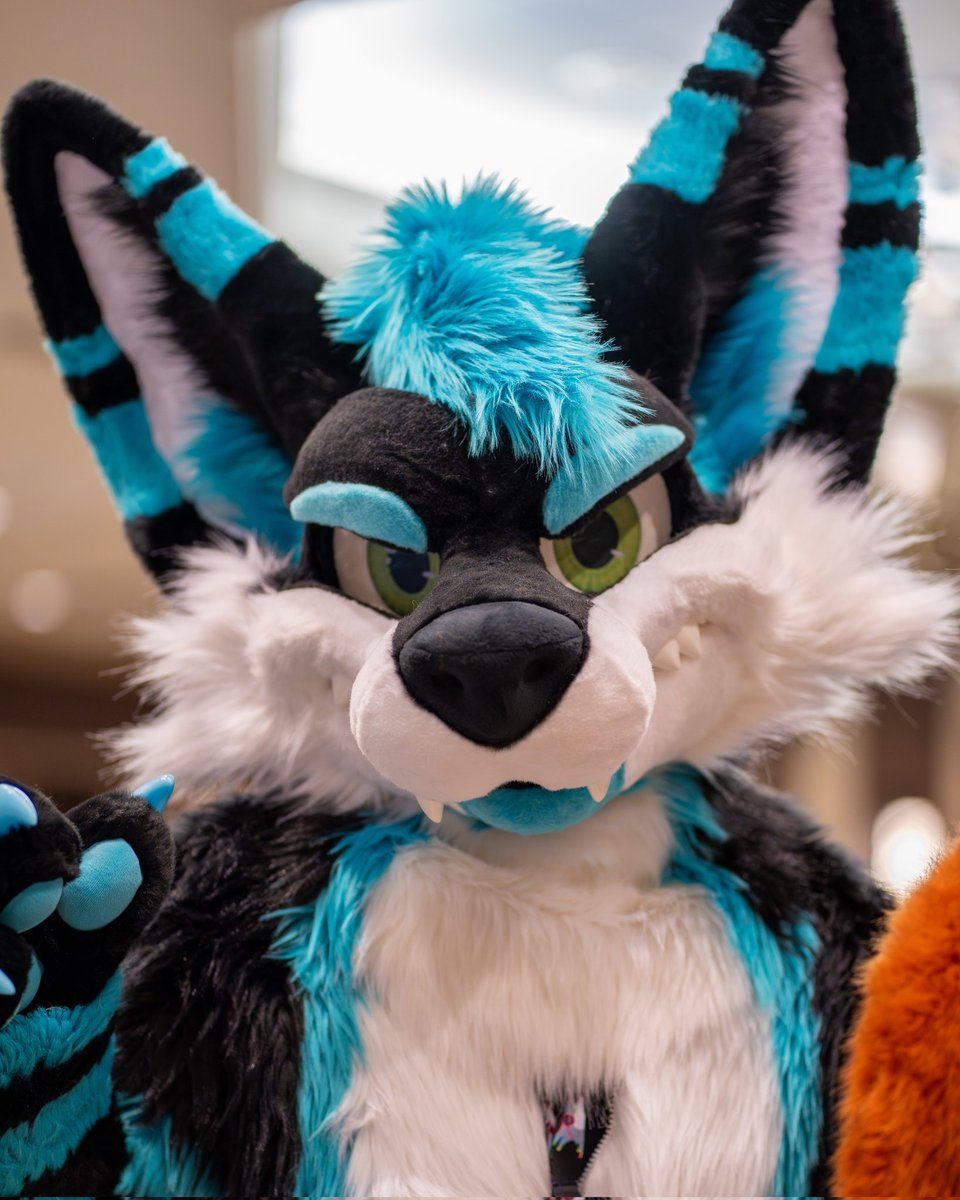 RockySheperd's tweet photo. ⭐️RockySheperd's Fabulous Fursuiters⭐️

🐾- @sonnikwusky 
🧵- @MoreFurLess 
📷- @yukonbarksalot 
🌎- Texas Furry Fiesta 2026 https://t.co/GQfg2elkQh