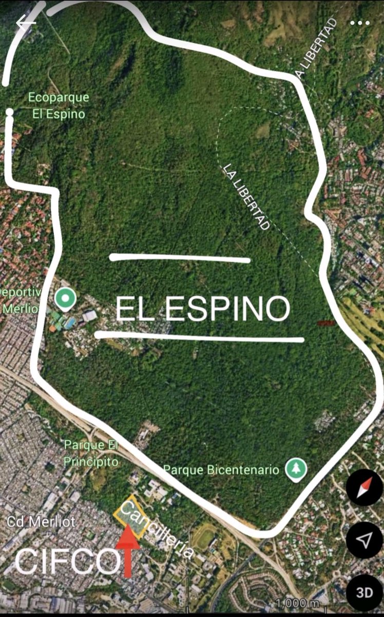 AsiDiceLaPalabraDeDios2 tweet media