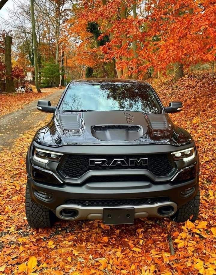 Car Porn tweet media