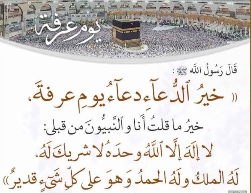 shimaa ahmed tweet media