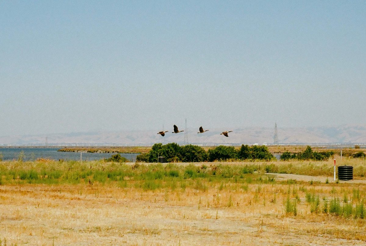 dishk15's tweet photo. Kodak Portra400 https://t.co/7j38qXP1rV