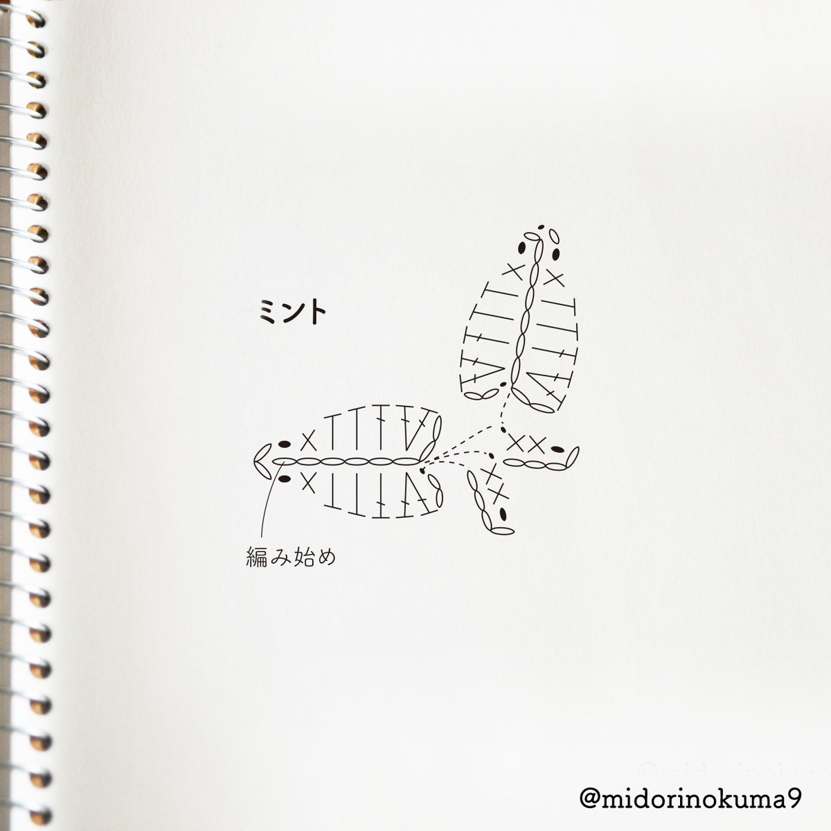midorinokuma9's tweet photo. 今日はペパーミントの日だそうです

ミント https://t.co/PBLuEL6uid