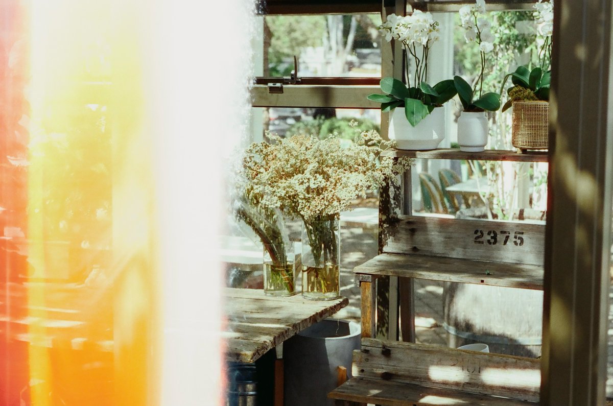 dishk15's tweet photo. Kodak Portra400 https://t.co/7j38qXP1rV