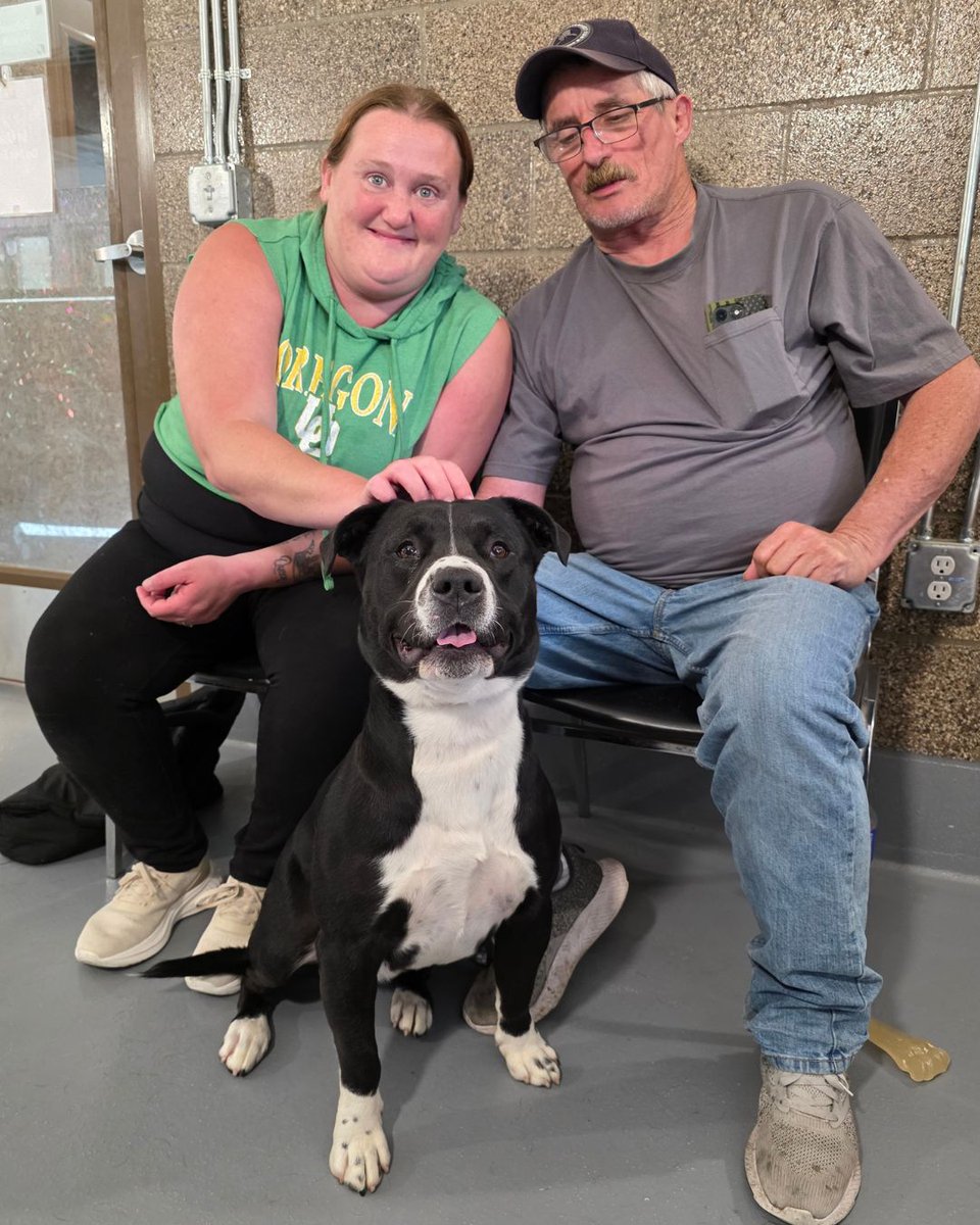 Greenhill Humane tweet media