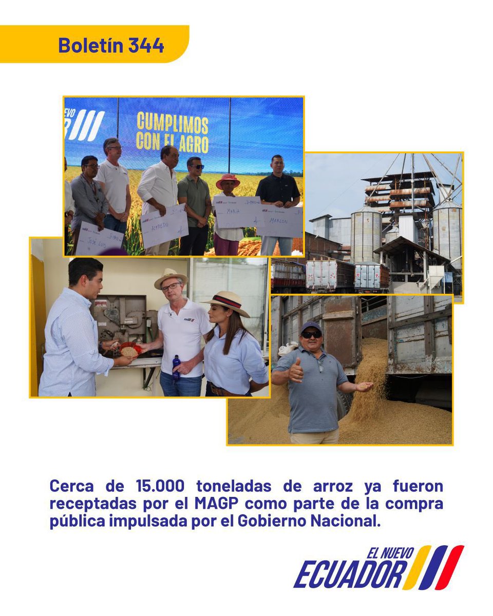 AgriculturaEc's tweet photo. #Boletín 📰 | A través del MAGP, receptamos cerca de 15.000 toneladas de arroz de más de 1.000 productores de Guayas y Los Ríos, como parte de la compra pública impulsada por el Gobierno Nacional para fortalecer al sector arrocero y contribuir a sostener el precio del grano.

🔗Conoce todos los detalles: https://t.co/4k8UkpOHwA

#ElNuevoEcuador