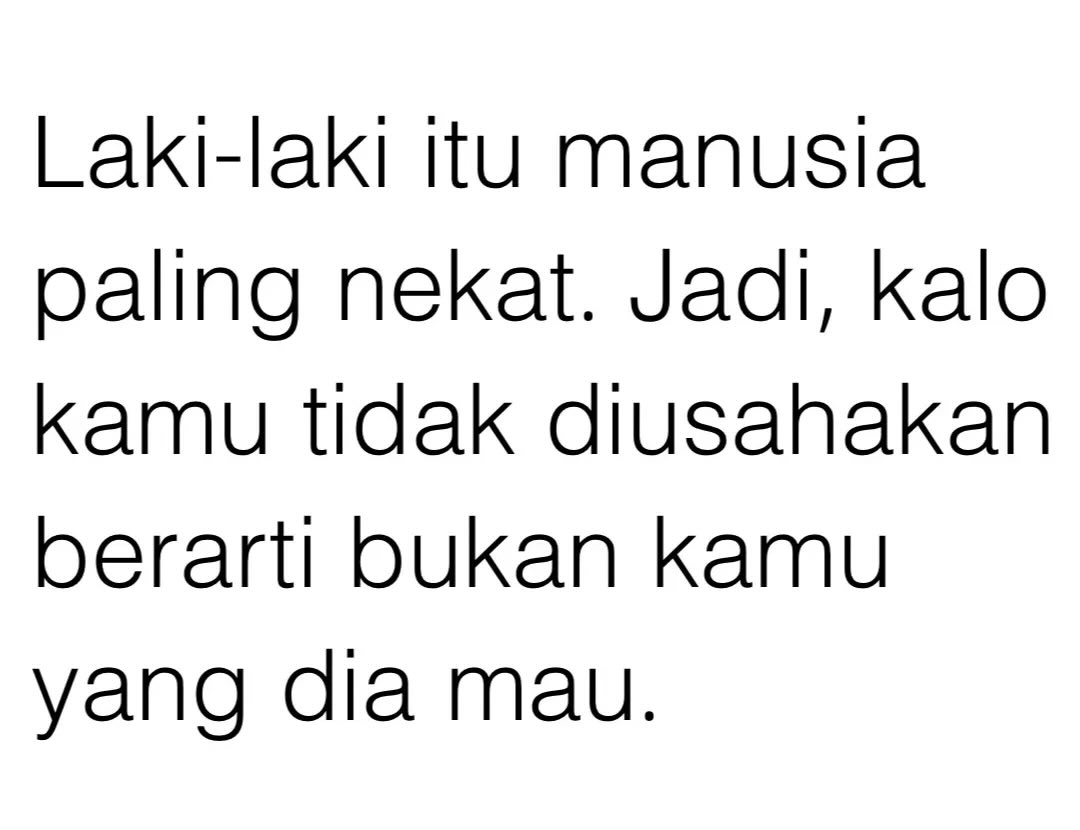𝒦aila tweet media