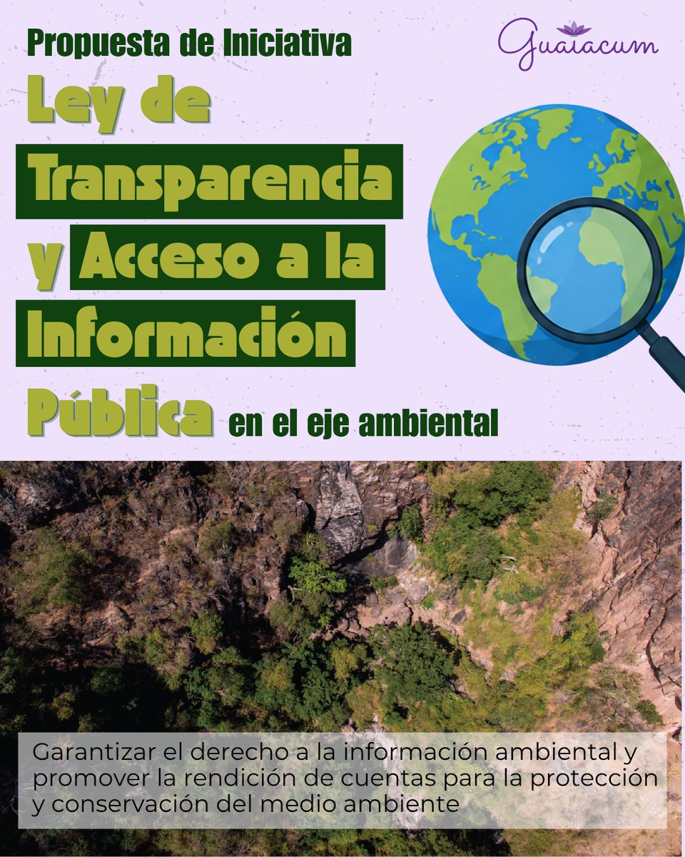 Guaiacumac's tweet photo. El año pasado, ingresamos una Iniciativa de Ley Estatal de Transparencia para Sinaloa, donde incluimos obligaciones específicas en materia medio ambiental, basadas en la Ley General.

Lamentablemente, la iniciativa que se quiere aprobar en el @congresosinaloa no las incluye. https://t.co/TSCHnKwGXi