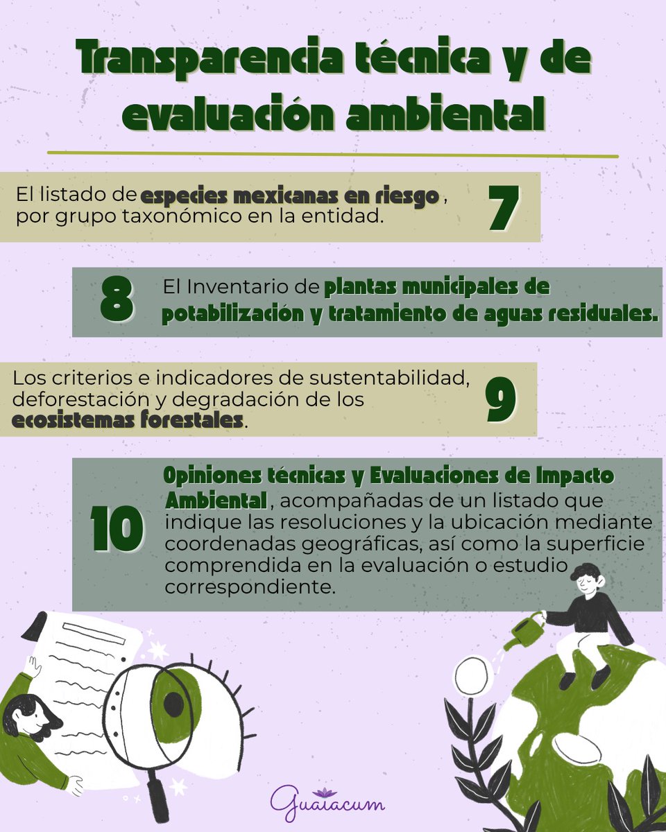 Guaiacumac's tweet photo. El año pasado, ingresamos una Iniciativa de Ley Estatal de Transparencia para Sinaloa, donde incluimos obligaciones específicas en materia medio ambiental, basadas en la Ley General.

Lamentablemente, la iniciativa que se quiere aprobar en el @congresosinaloa no las incluye. https://t.co/TSCHnKwGXi