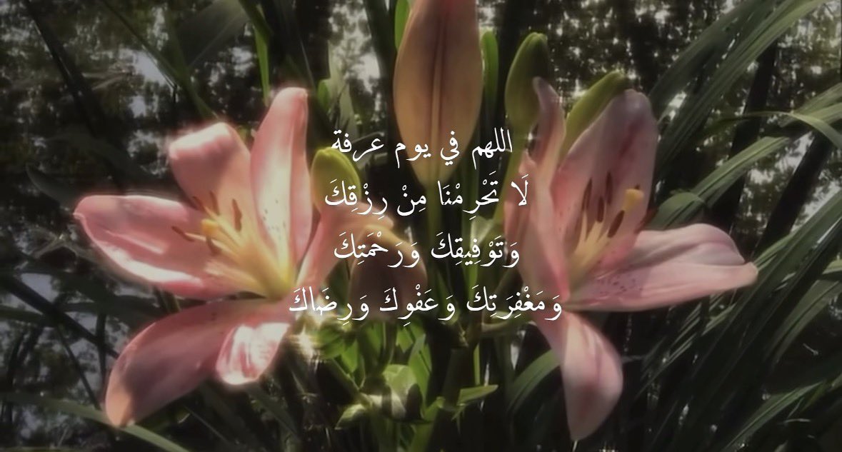 lliem18's tweet photo. #يوم_عرفة https://t.co/m1Jj4lC3Sd