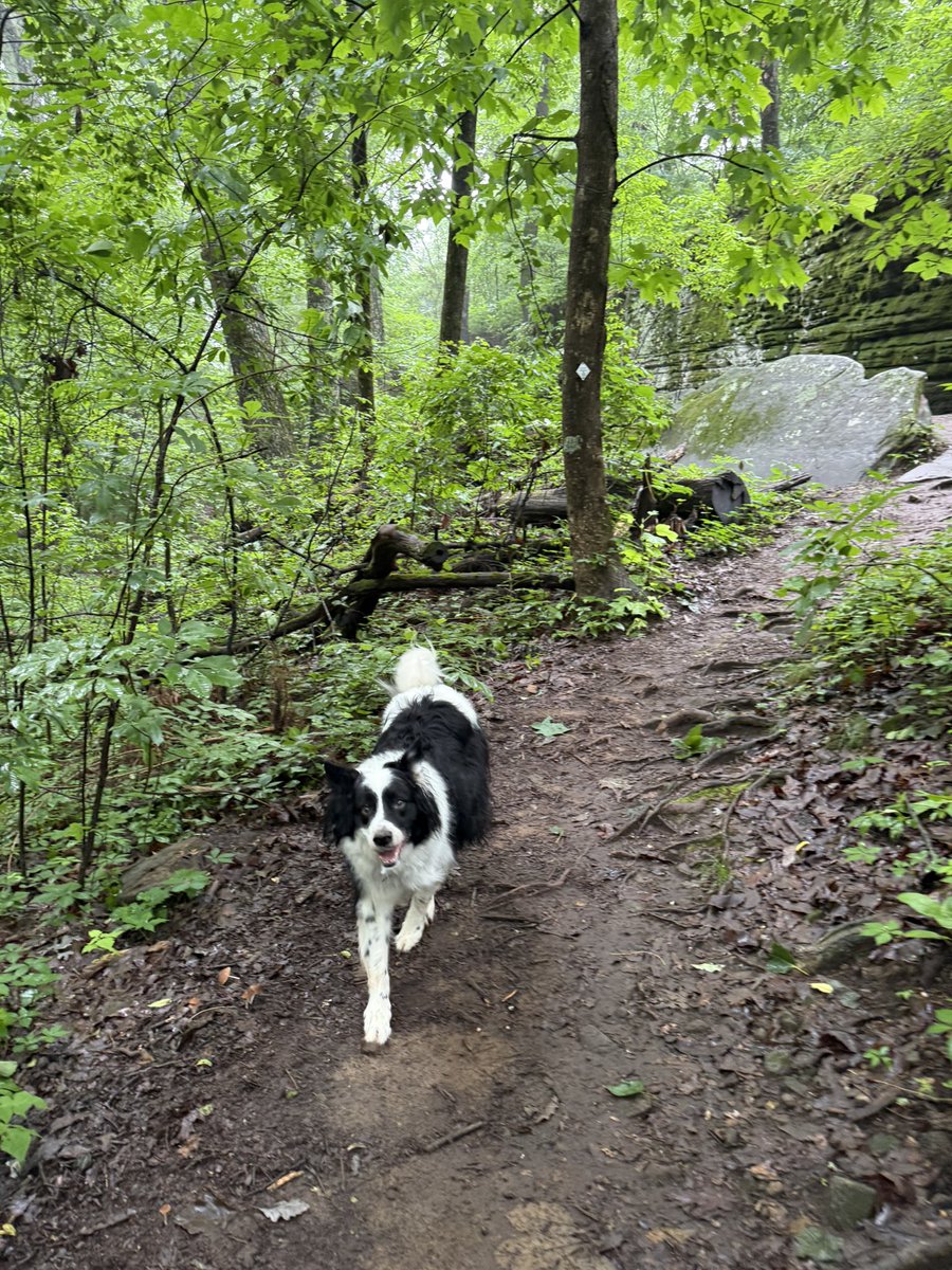 Earthly_Amy's tweet photo. Today’s hike was 🔥 https://t.co/ga3HBrXAlE