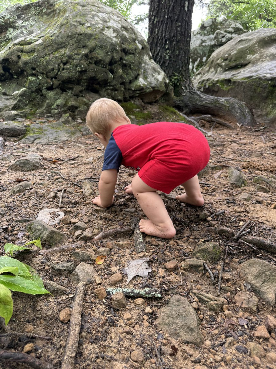 Earthly_Amy's tweet photo. Today’s hike was 🔥 https://t.co/ga3HBrXAlE