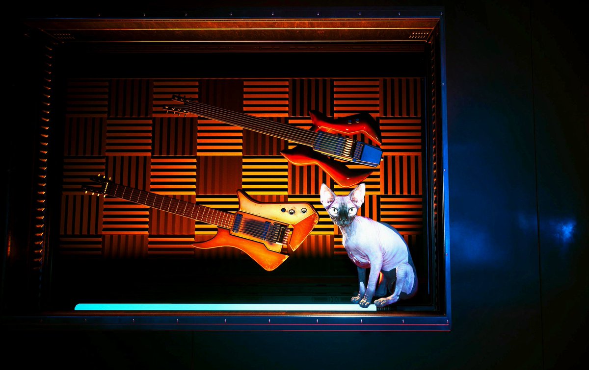𝐒𝐡𝐢𝐨𝐧🐈⬛ tweet media