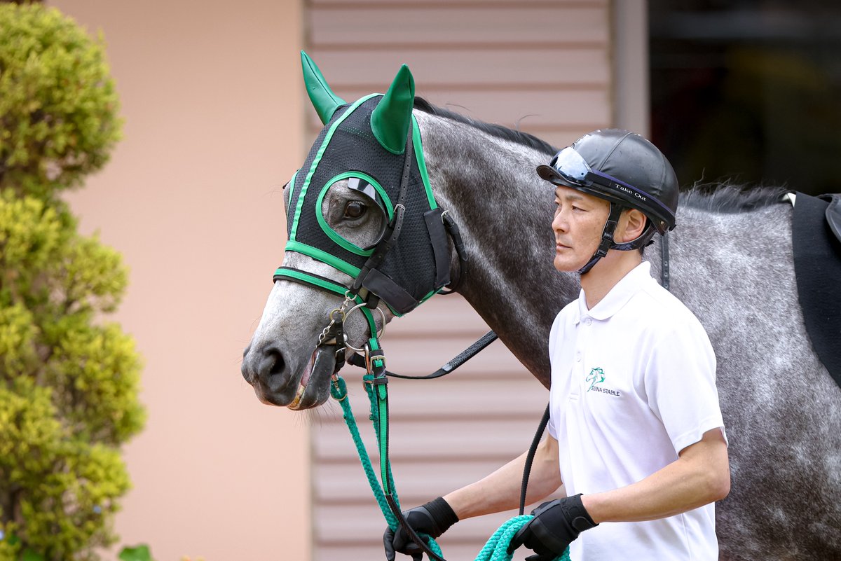 pfmpspsm's tweet photo. 日曜日に見たハートホイップちゃん。春の新潟での計2000mのレースおつかれさまでした。 https://t.co/1v2YigkpOa