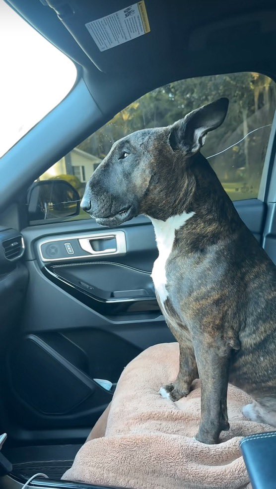 1017 🚁🚁ひ tweet media