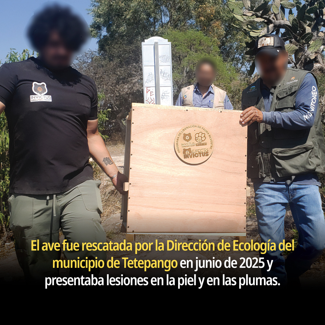 PROFEPA tweet media