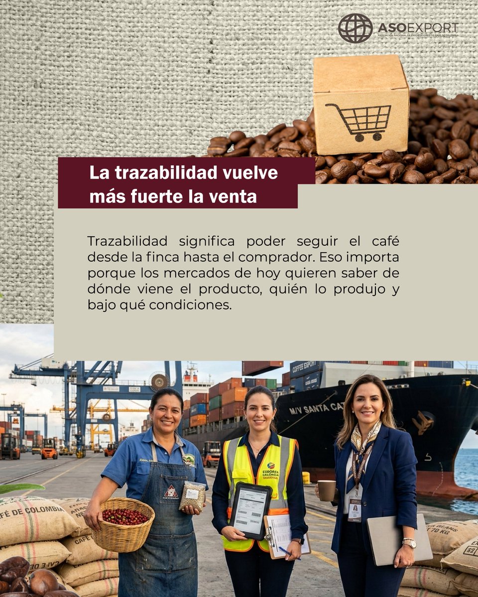 asoexport's tweet photo. ☕👩‍🌾 Las mujeres cafeteras son clave para el presente y el futuro del café colombiano.

Más de 166 mil productoras impulsan la caficultura, fortalecen el campo y aportan competitividad al sector exportador 🇨🇴🌎

#MujeresCafeteras #CaféColombiano #Asoexport #Exportaciones https://t.co/ZSL8Qd2vP4