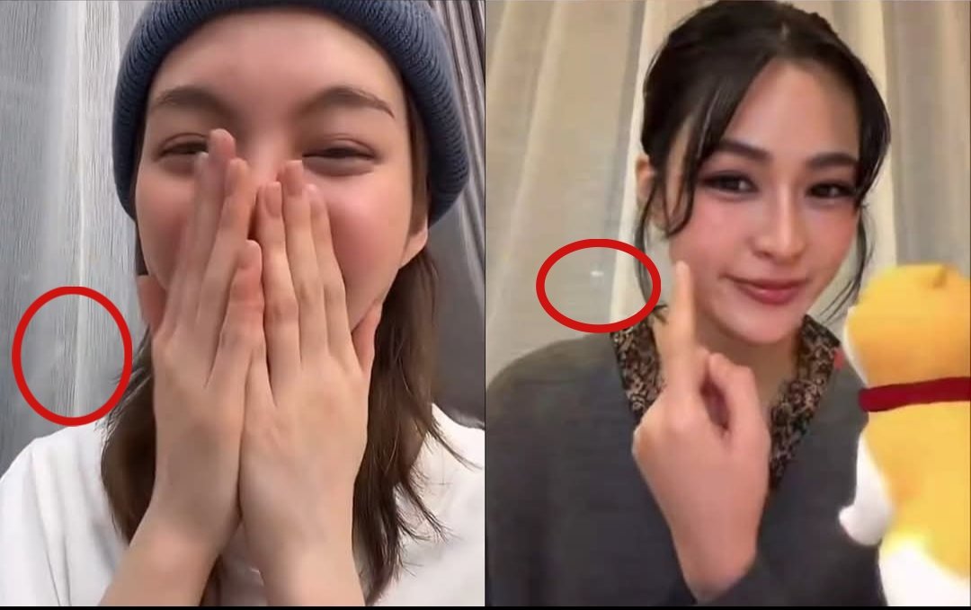NewsNewsLO's tweet photo. Giải thích thế nào? Tường, sofa và rèm cửa giống hơn cái thằng mà tụi mày so sánh đấy, có mắt nhìn cũng thấy mà. Con mẹ nó ngu thế không biết #winling dog https://t.co/d3tweN1l7n