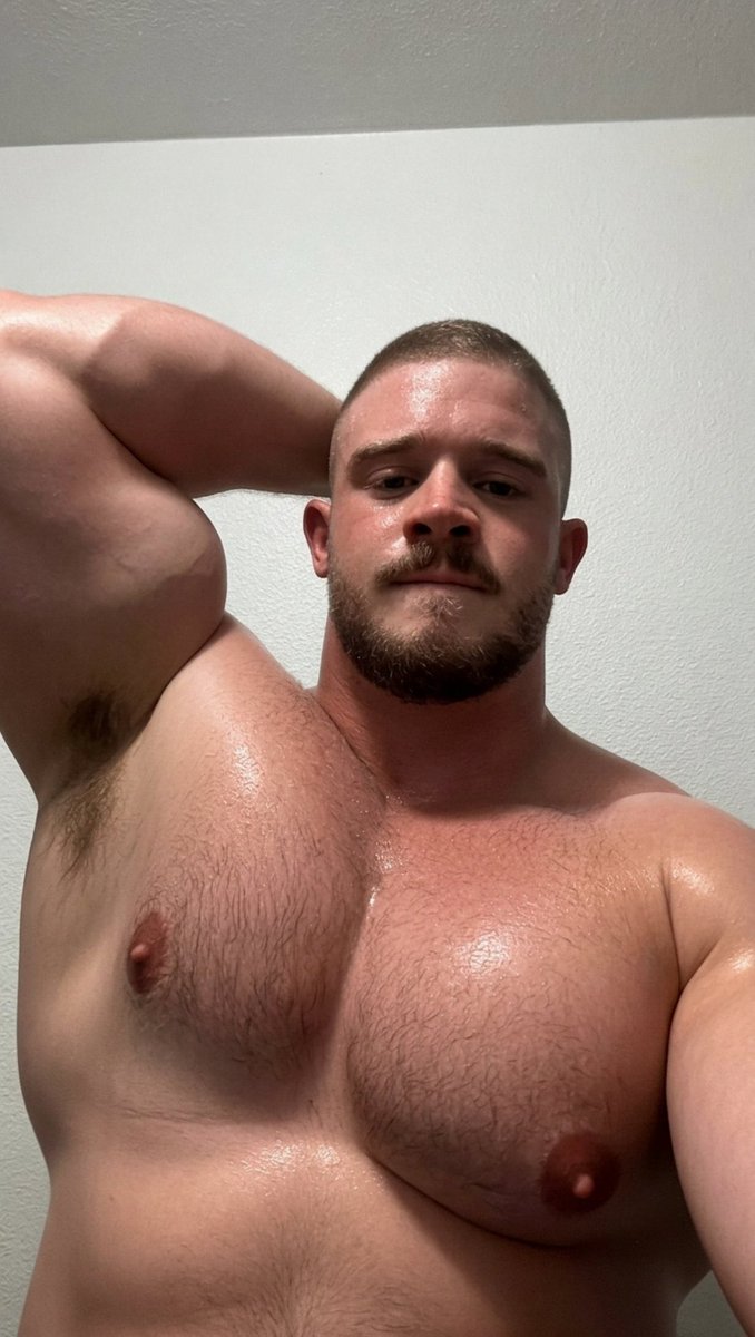 DADDY BEAR HUB tweet media