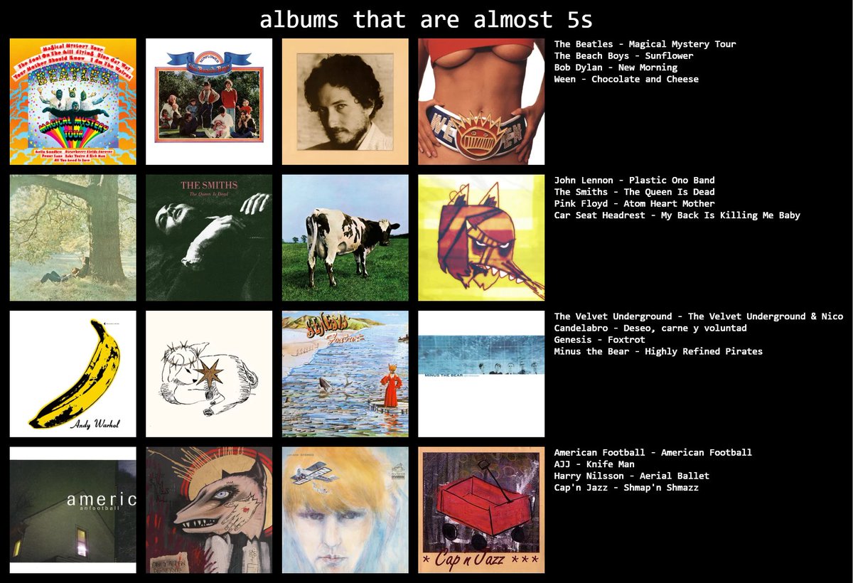 realsunnybeatle23 tweet media