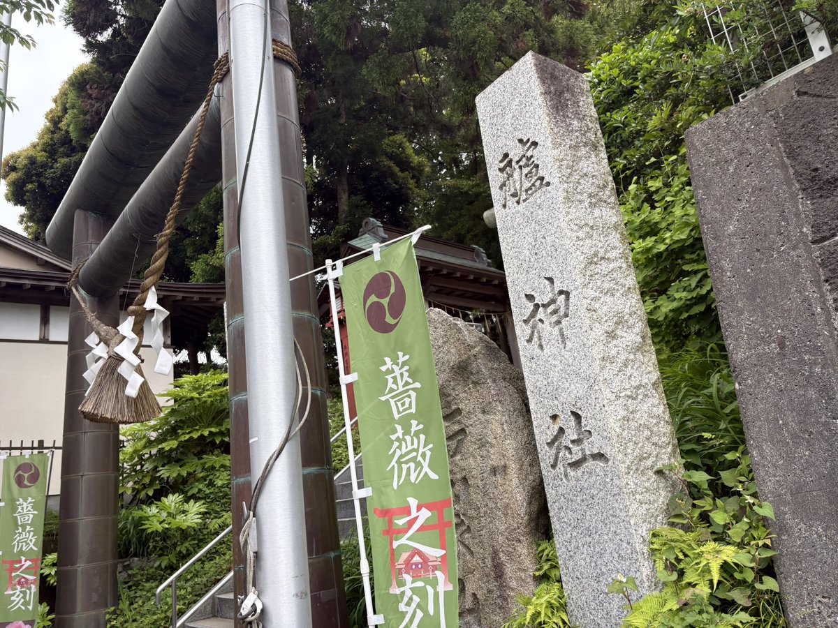 イカゾー (@ikazosi) / Posts / X