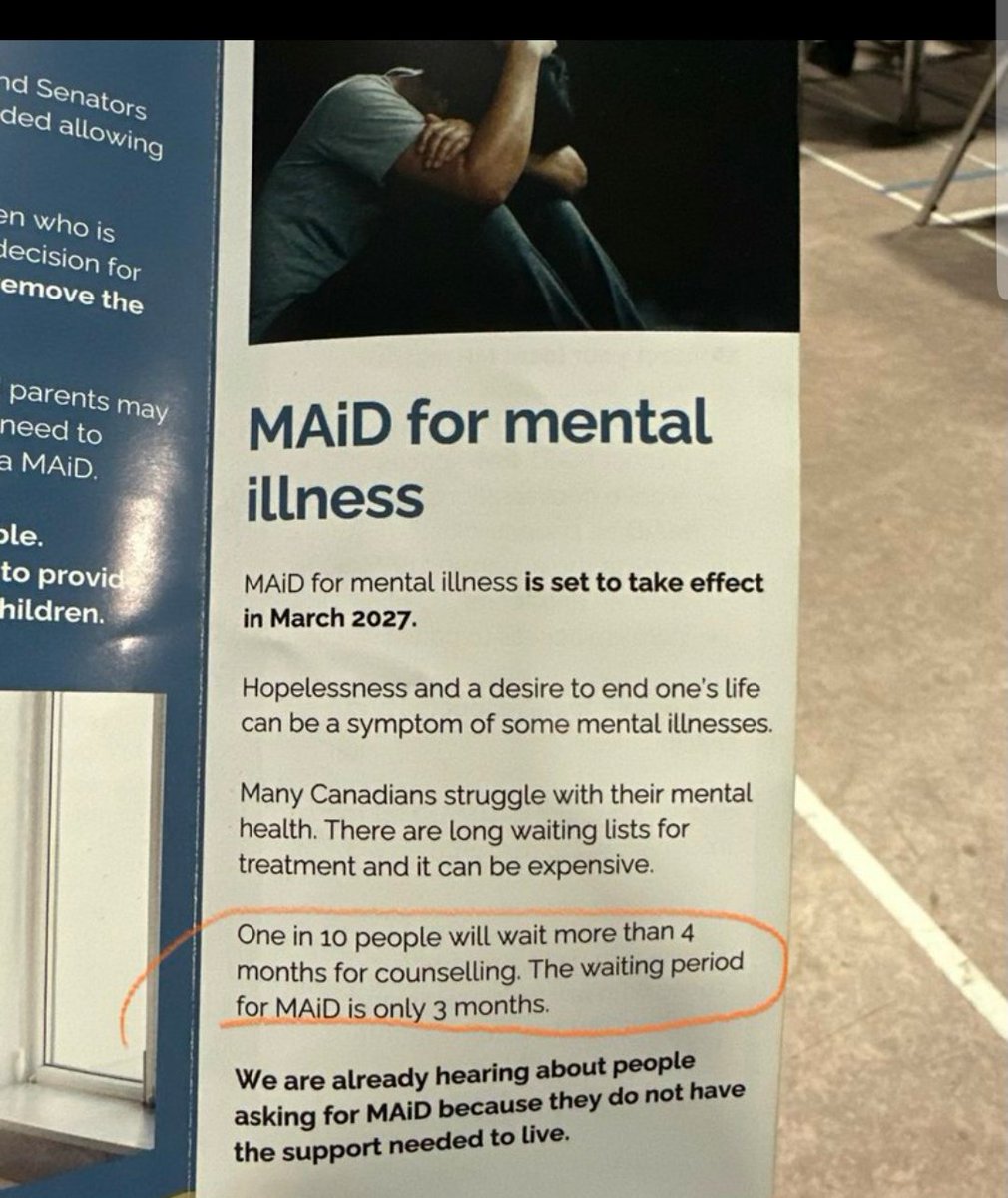 MadCapMolly tweet media