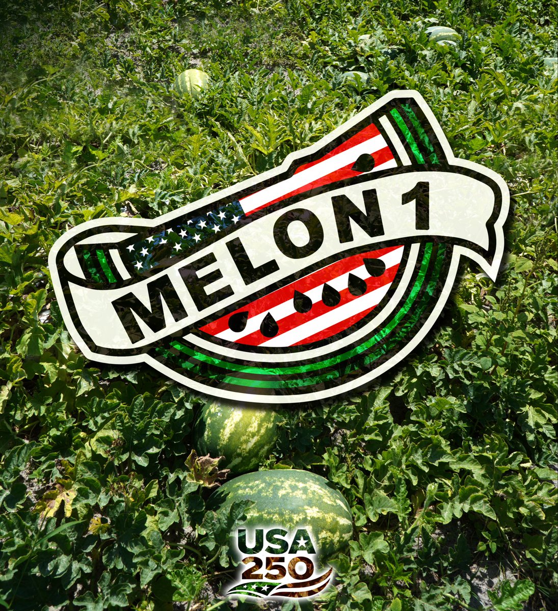 Melon 1 tweet media