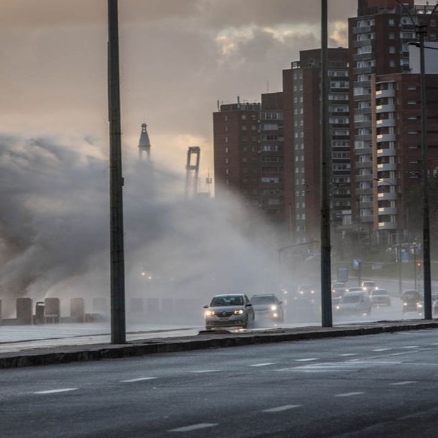 Montevideo Portal tweet media