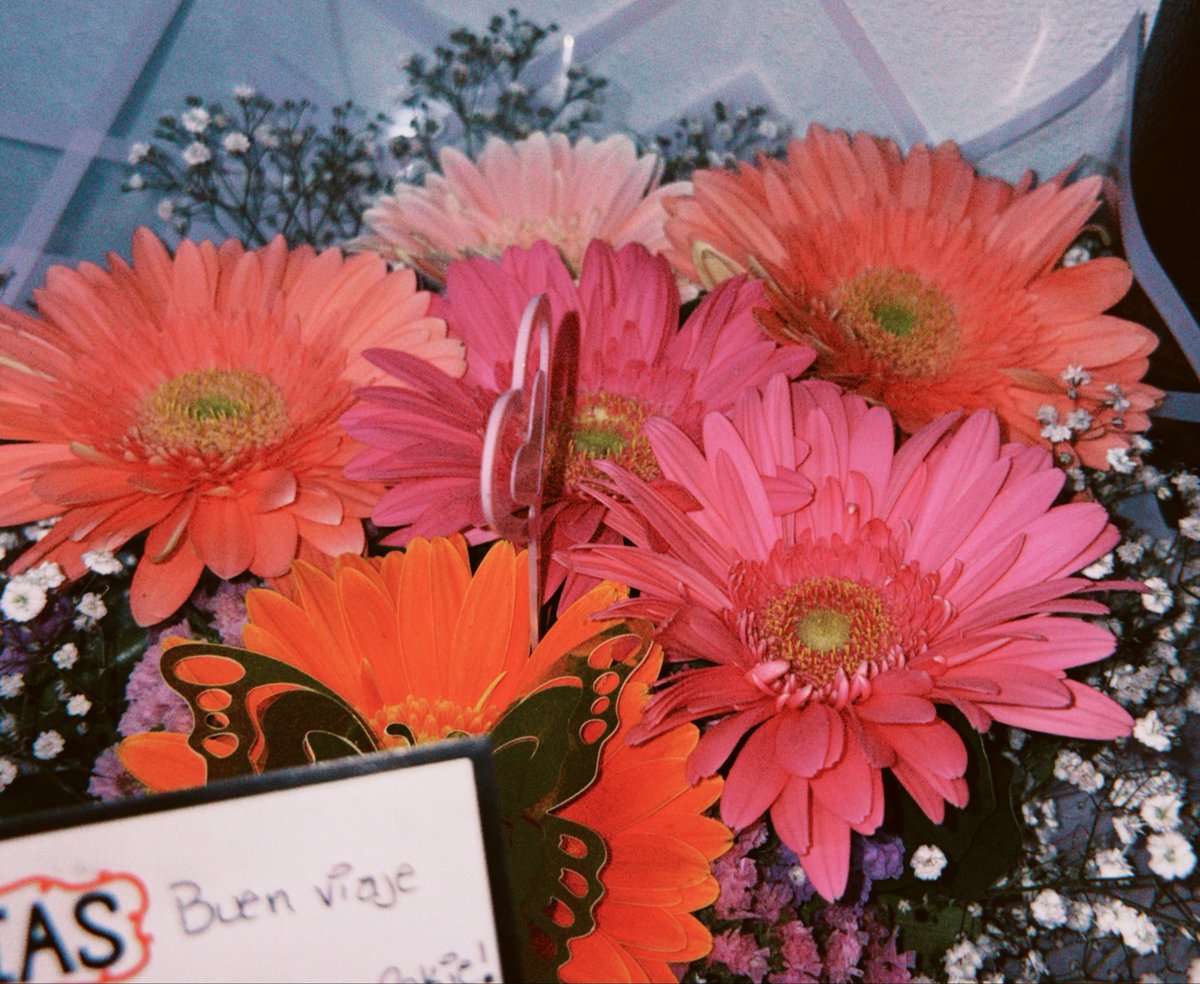 Citlaaa_s's tweet photo. <3 https://t.co/IBxohWk9Pt
