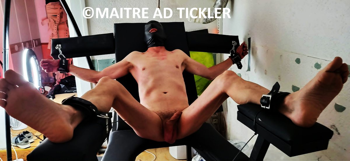 Maitre Ad Tickler tweet media