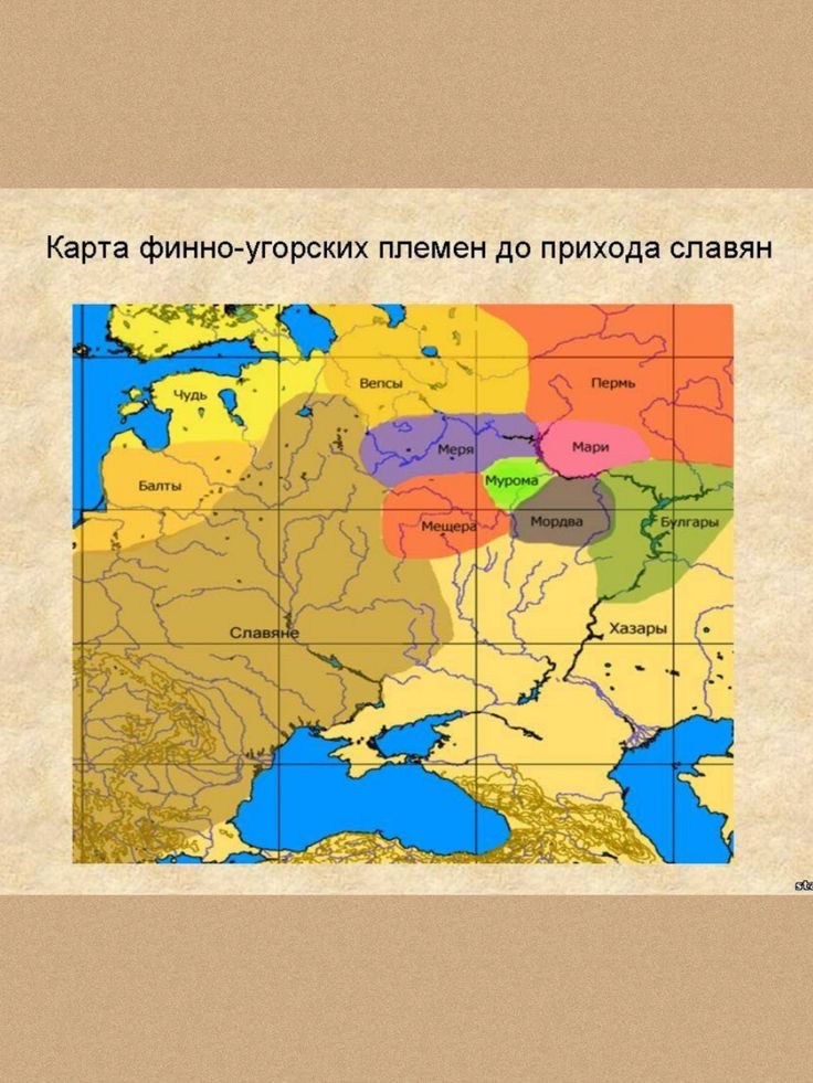 YuryTHoS tweet media
