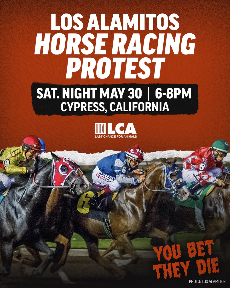 Last Chance for Animals tweet media