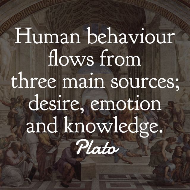Masters Mind tweet media