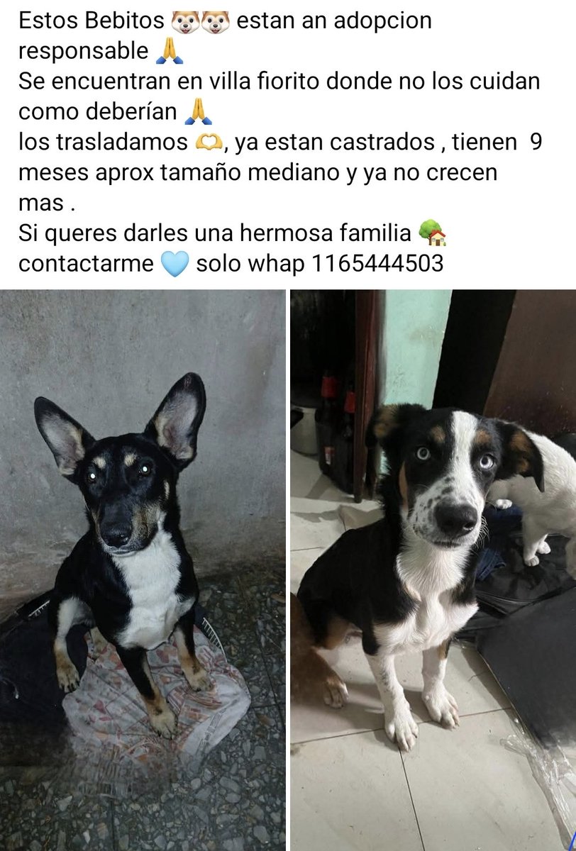 Laly 🇦🇷 tweet media