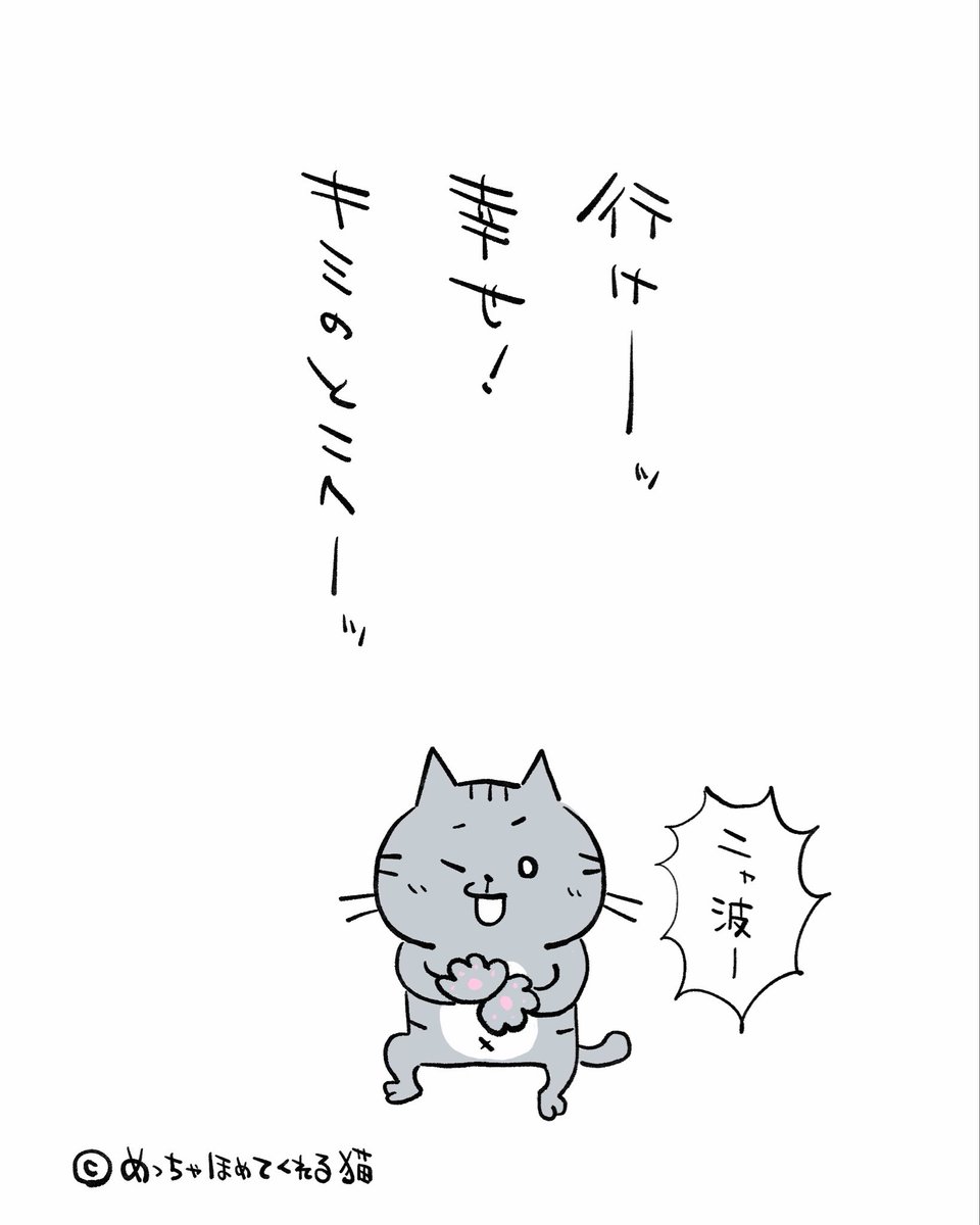 めっちゃほめてくれる猫 / えぐた tweet media