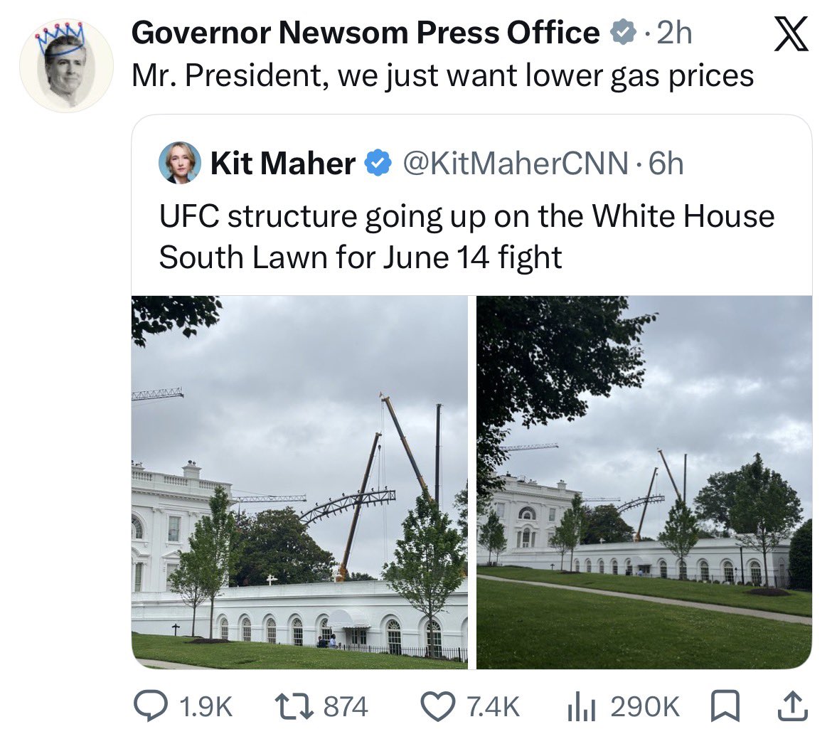 Coddled Affluent Professional tweet media