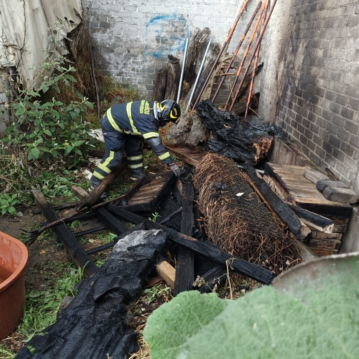 Bomberos Ciudad de México Oficial tweet media