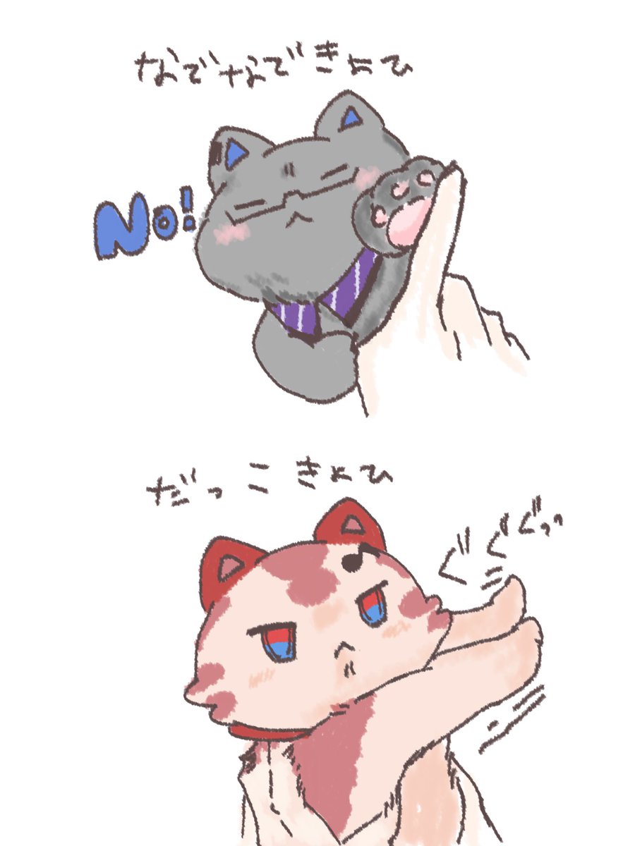 おくらちゃんさん tweet media